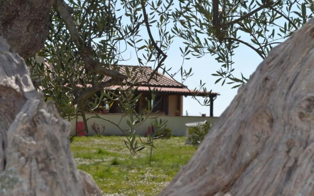 Podere dei maddii