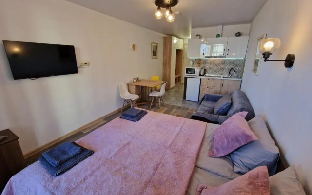 New Gudauri, Apartment 244