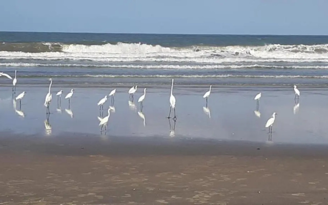 Casa de Praia Ilheus