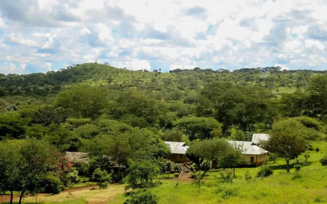 Teen Ranch Camp