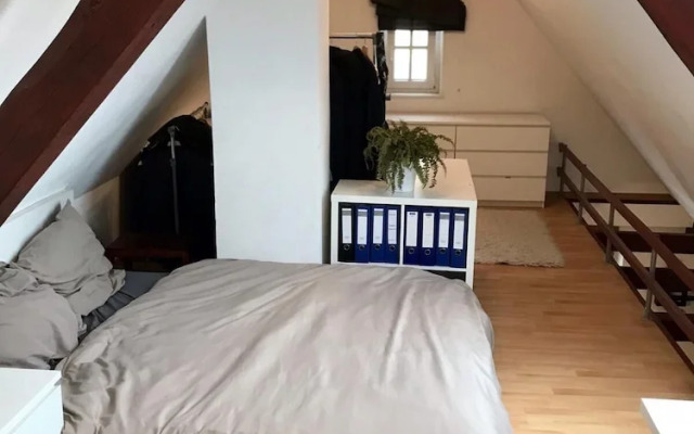 Charming 1-bed Loft Apartment in Schwandorf