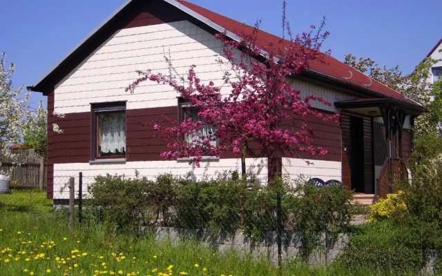 Waldblick - a10644