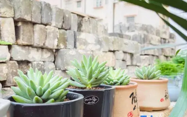 Zhaoqing Time Story Homestay (Seven Star Cave Archway)