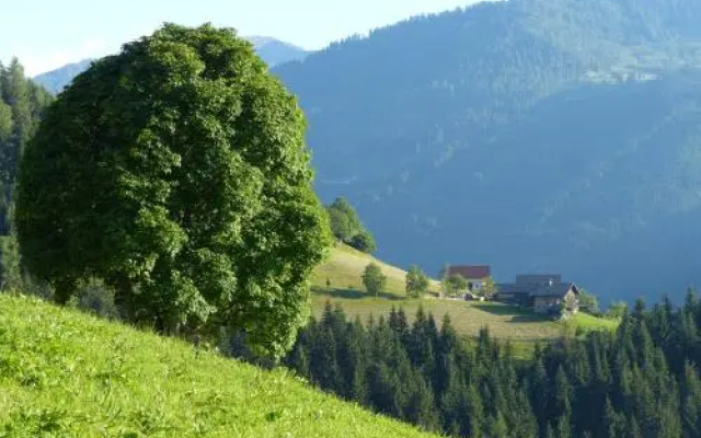 Appartement Andi