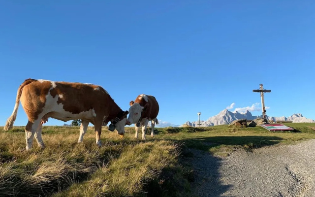 Schachneralm