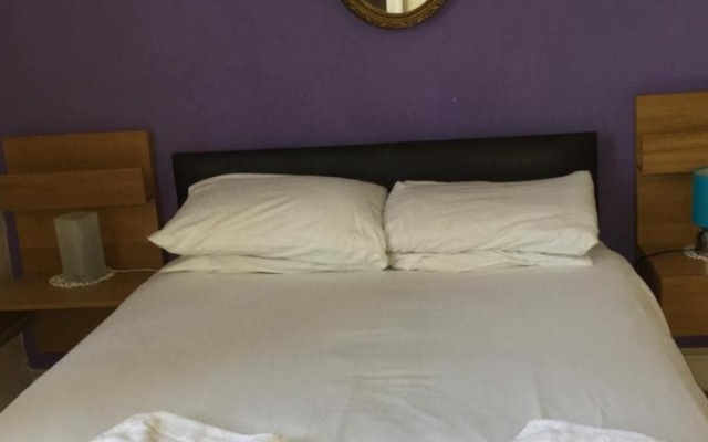 Counan Guest House