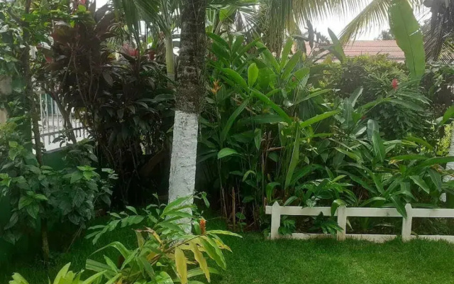 Vampayá Panamá