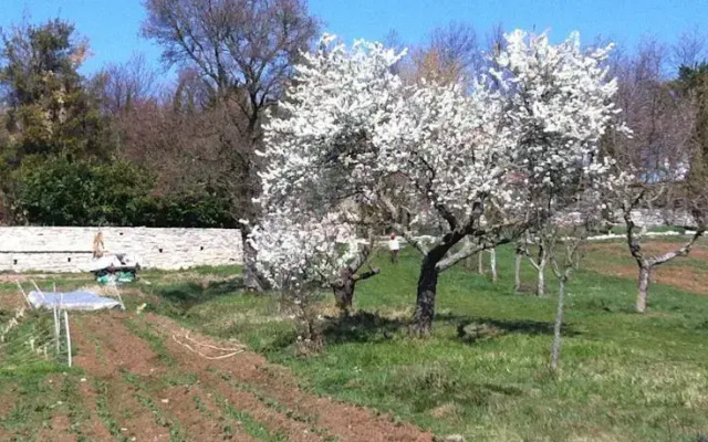 La Contea degli Angeli