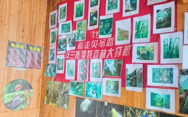 Libo Maolan Outdoor Home Homestay