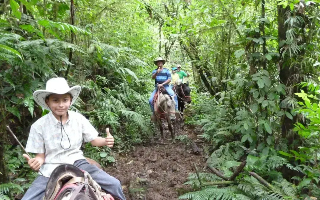 Finca Tres Equis - Farm and Forest