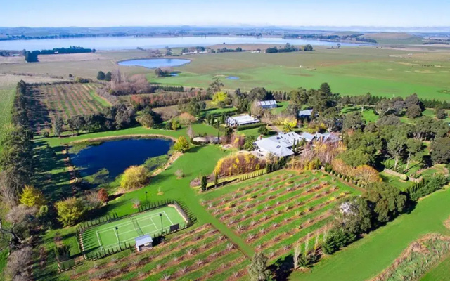 Orchards at Spring Vale Farm