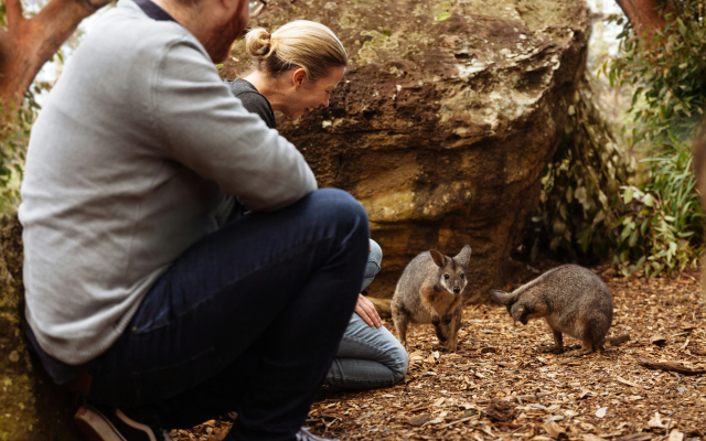Wildlife Retreat at Taronga