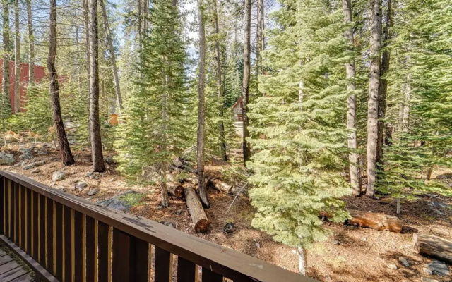 Near Slopes, Donner Lake & Trails! Woodsy Retreat