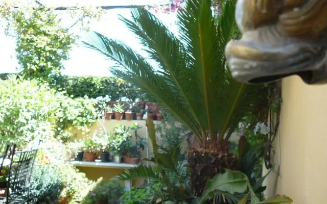 La Terrazza dei Pelargoni B&B