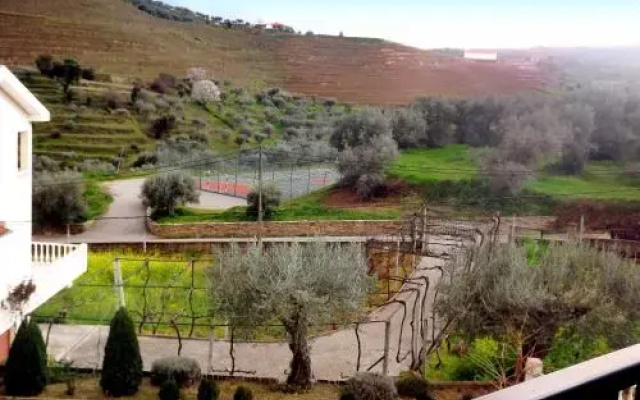 Casa Oliveiras do Douro