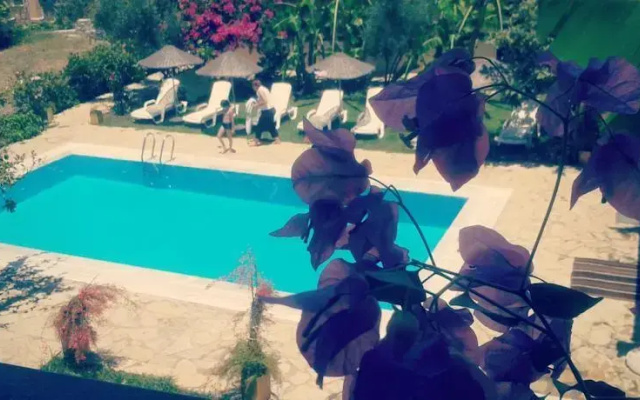 Doga Pension