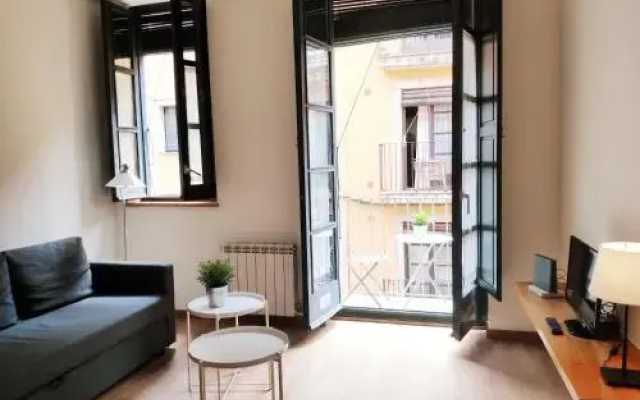 Apartment Histórico