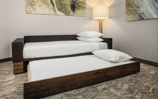 SpringHill Suites by Marriott Eau Claire