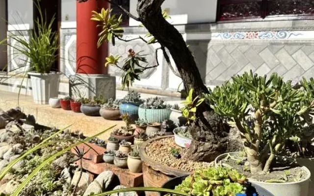 Dali Tower Beiyuan Inn