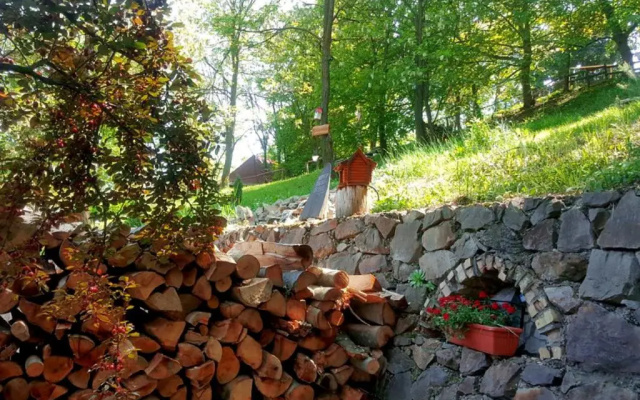 Brvnare Platan Fruška Gora