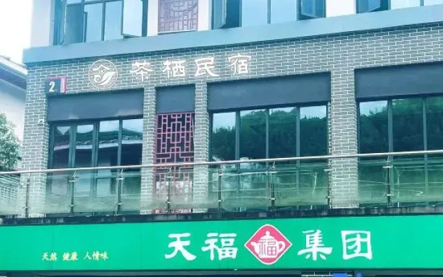qi tea