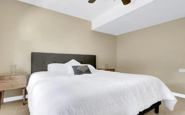 Colony Suite