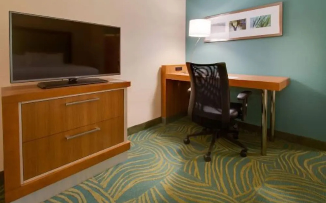Lexington Vacations Kiss by Stark Hosp