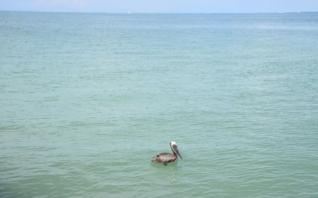 Runaway Bay 270 - 1357301