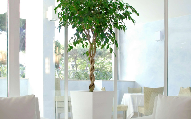 Mercure Rimini Lungomare