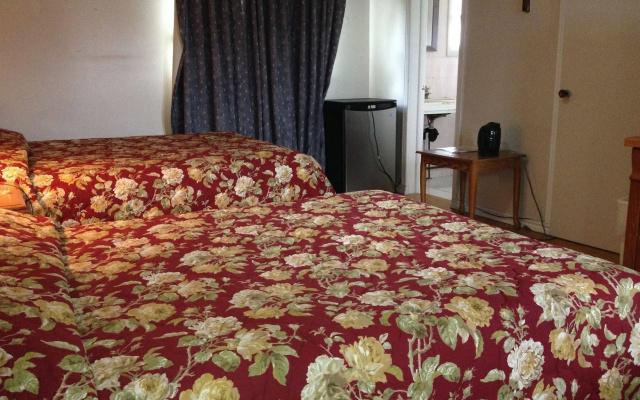 American Plaza Motel