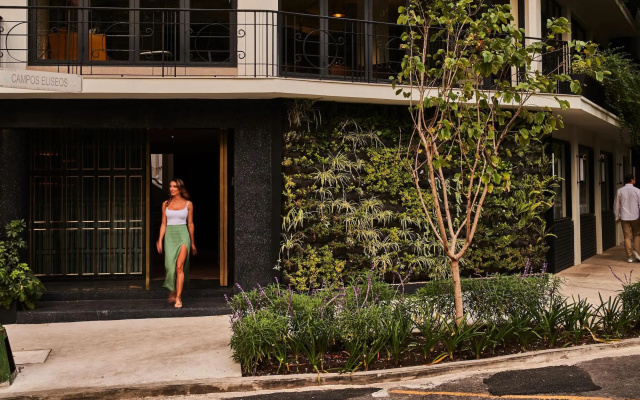 Campos Polanco
