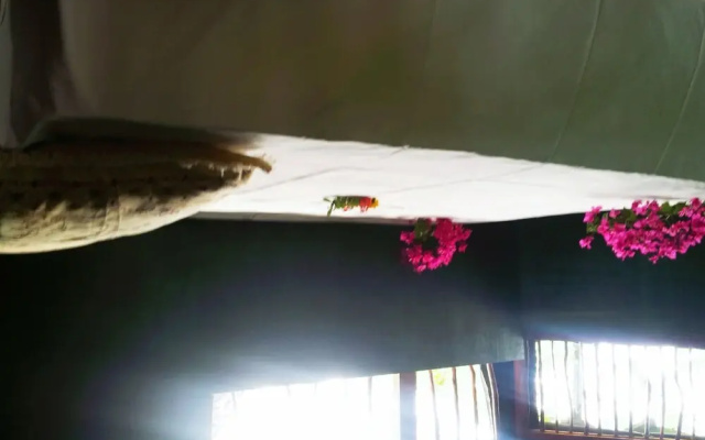 Leopard View
