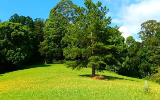 Riverbend Byron Hinterland Retreat
