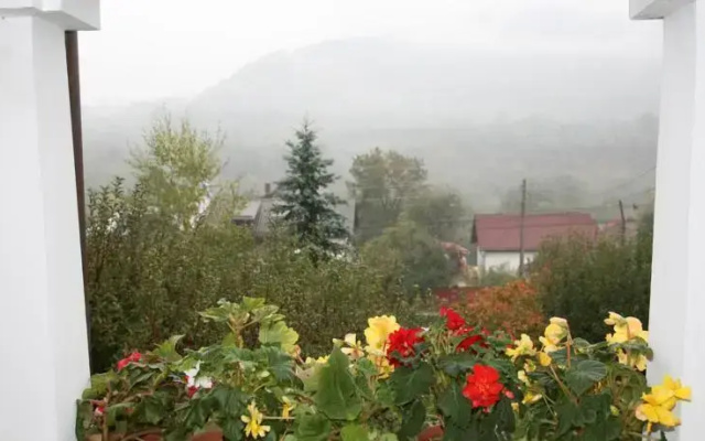 Pensiunea La Brazi