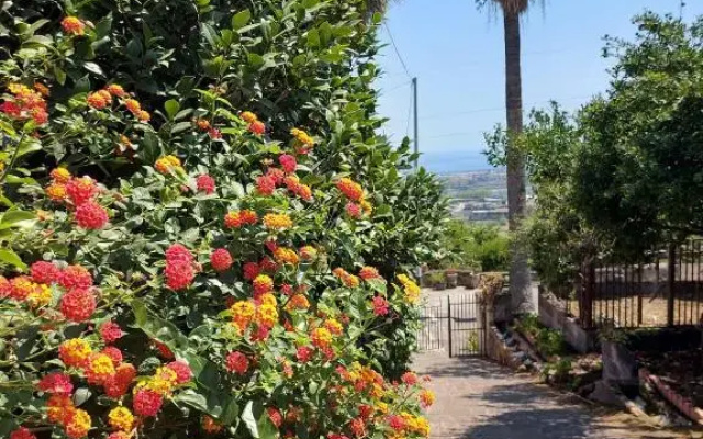 Casa Delle Palme Giarre Sicilia a 3 Km Dal Mare