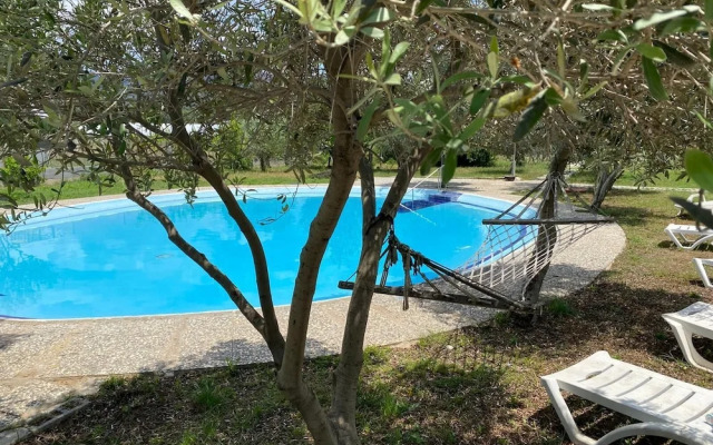 Magic camp&bungalov