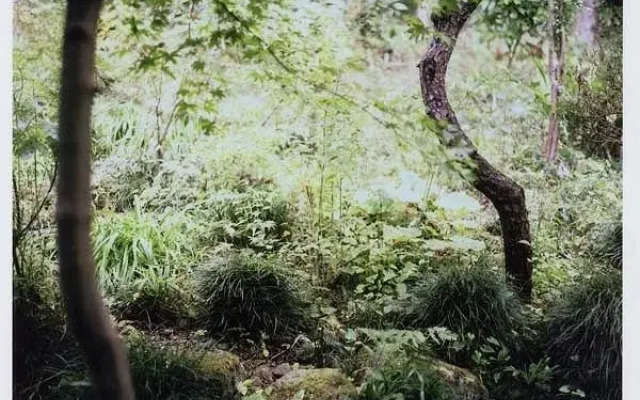 Ryokan Hiyoshi