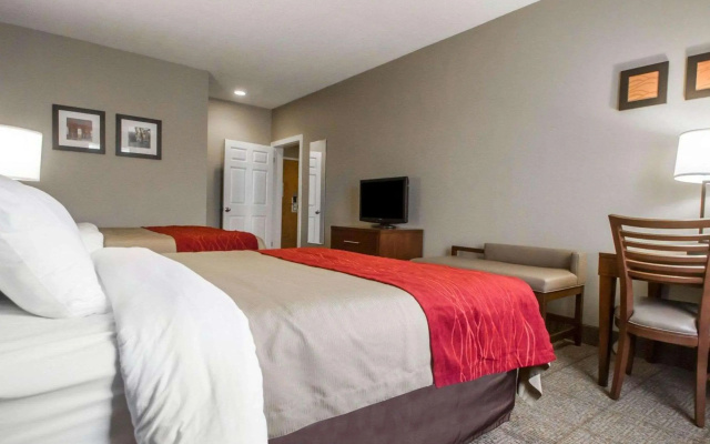 Comfort Inn Amite