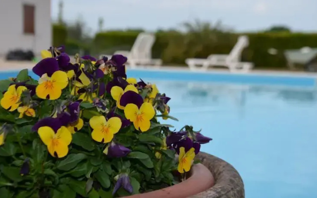 B&B Edelweiss