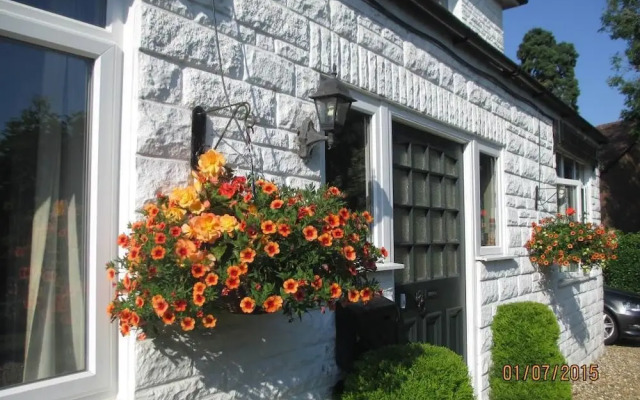 The White House B&B