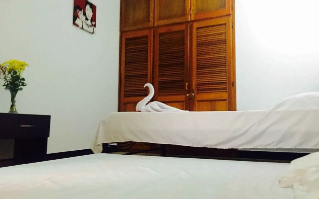 Bananas Hostel