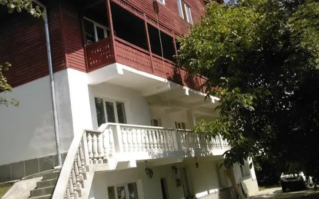 Vila Poienita