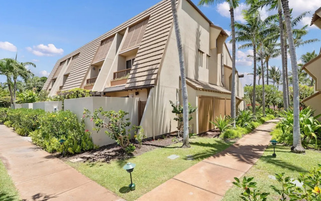 Maui Kamaole M106 In Kihei