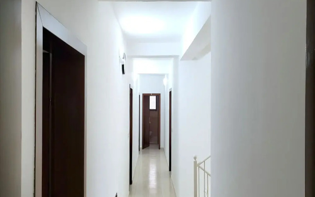 Ws Real Estate Devi