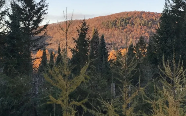Wildberry Inn