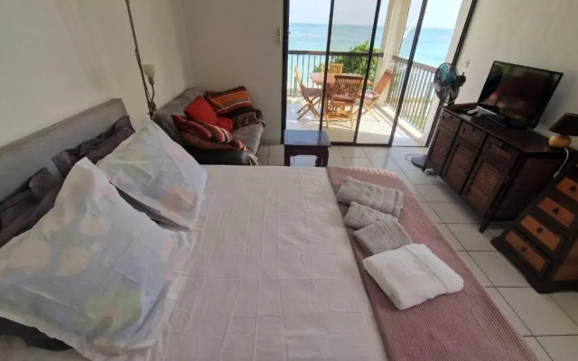 Studio magnifique vue mer - Bord de plage