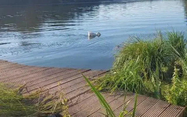 Helle Ferienwohnung in Nettetal bei Venlo
