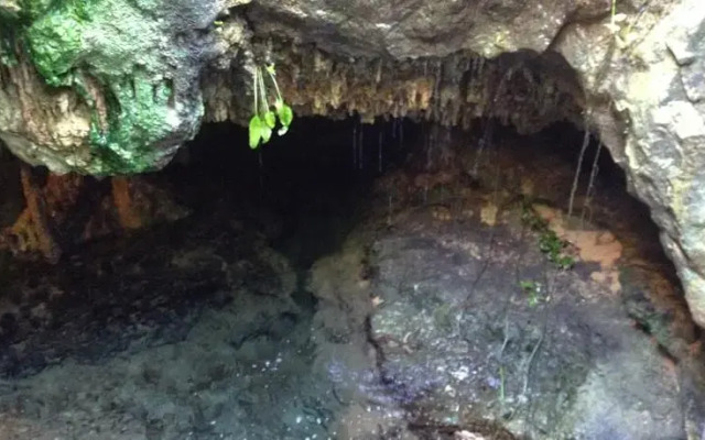 Rancho Exotico