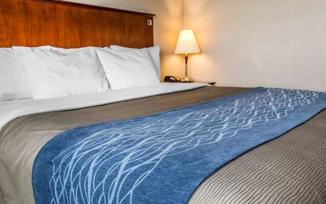 Отель Comfort Inn At LaGuardia Airport США, Нью-Йорк - отзывы, цены и фото номеров - забронировать отель Comfort Inn At LaGuardia Airport онлайн комната для гостей