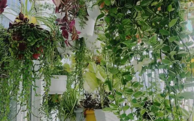 Private studio in hidden gem